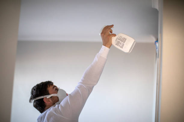 Best Residential Mold Remediation in Clintondale, NY
